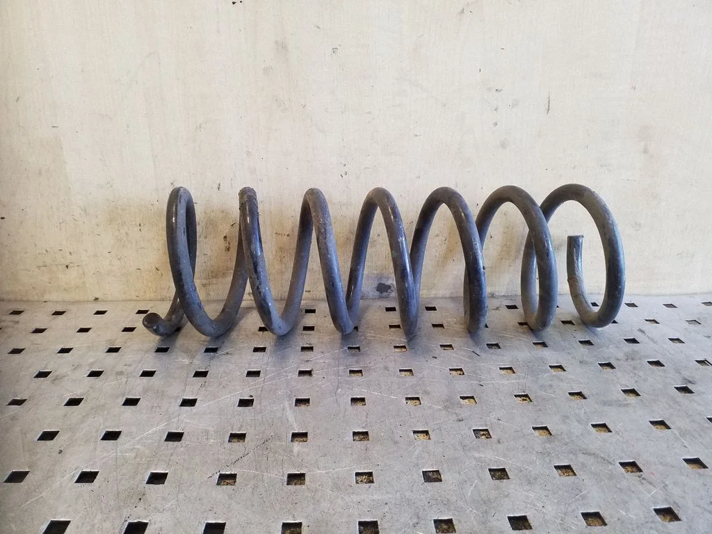 Rear coil spring