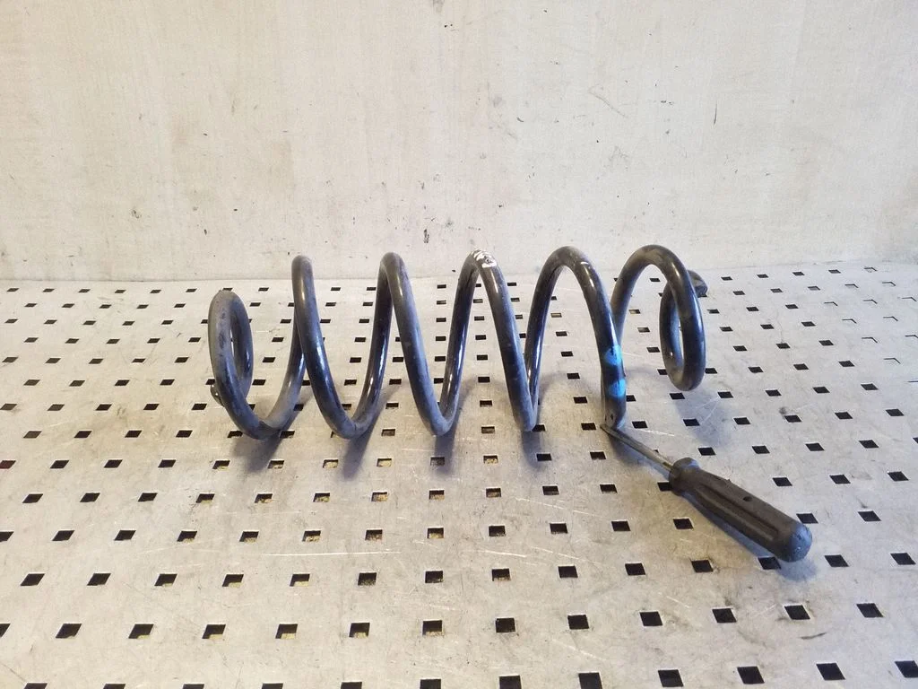 Rear coil spring – left