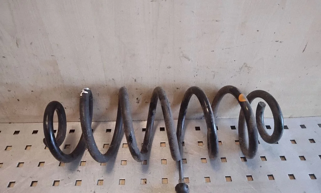 Rear coil spring – left