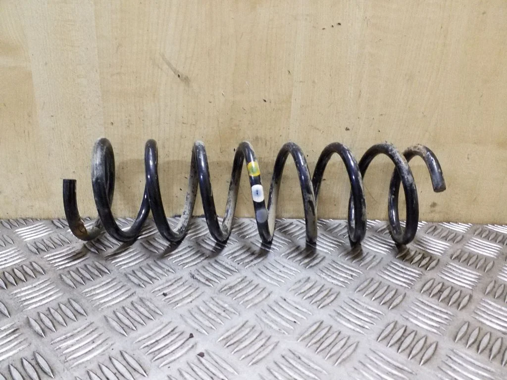 Rear coil spring