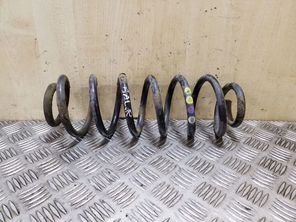 Rear coil spring