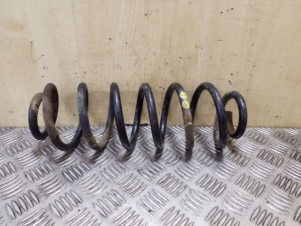 Rear coil spring