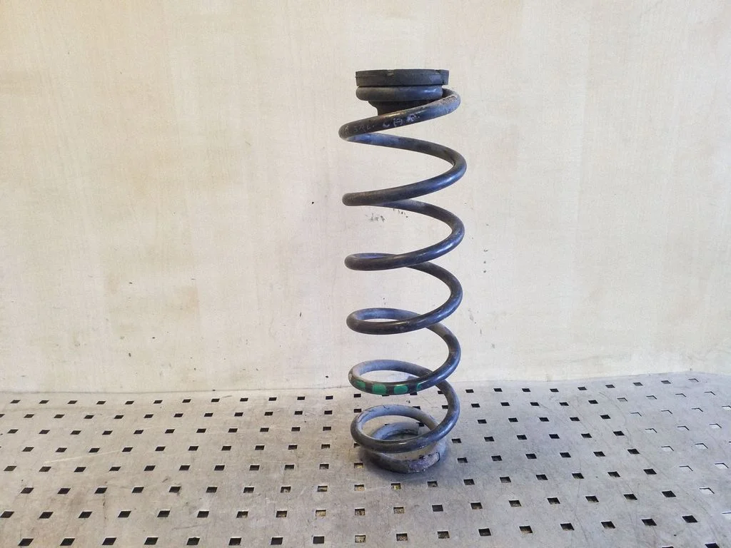 Rear coil spring