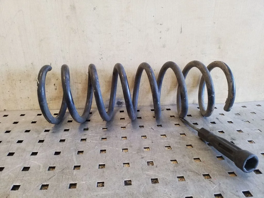 Rear coil spring