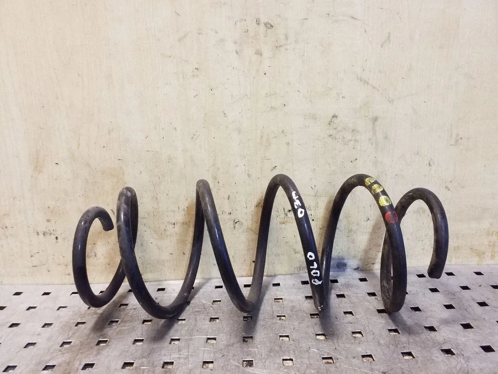 Rear coil spring