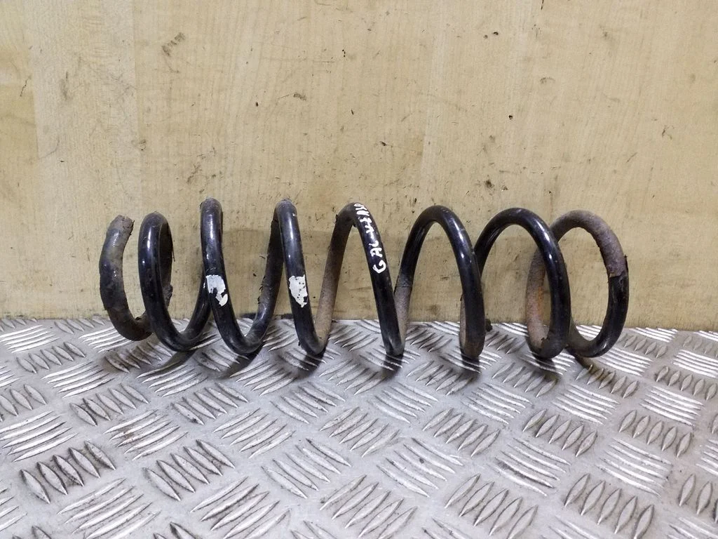 Rear coil spring