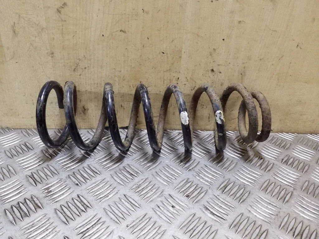 Rear coil spring