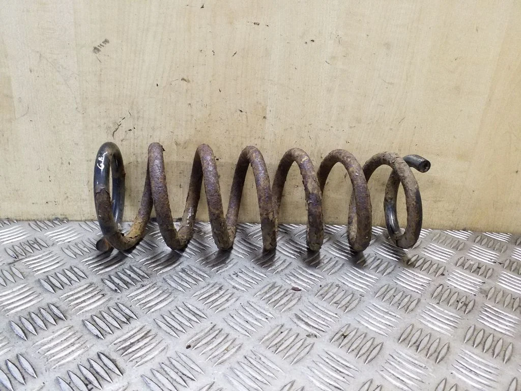 Rear coil spring