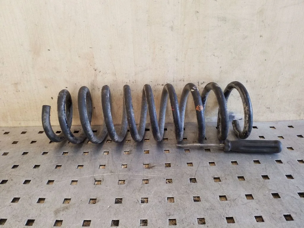 Rear coil spring