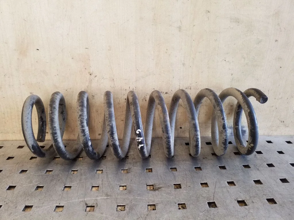 Rear coil spring