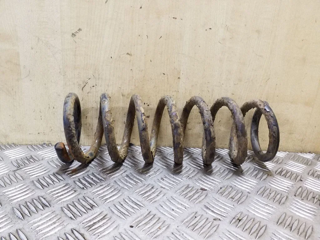 Rear coil spring