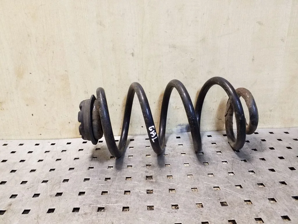 Rear coil spring