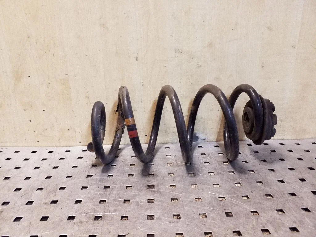 Rear coil spring