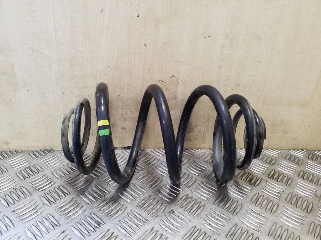 Rear coil spring