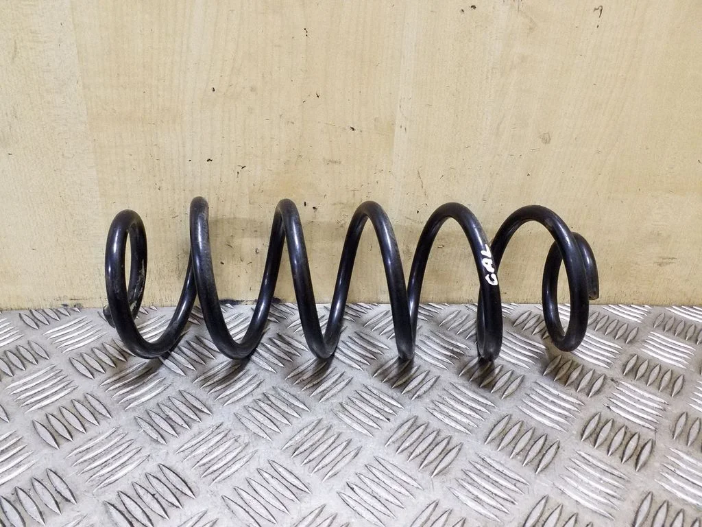 Rear coil spring