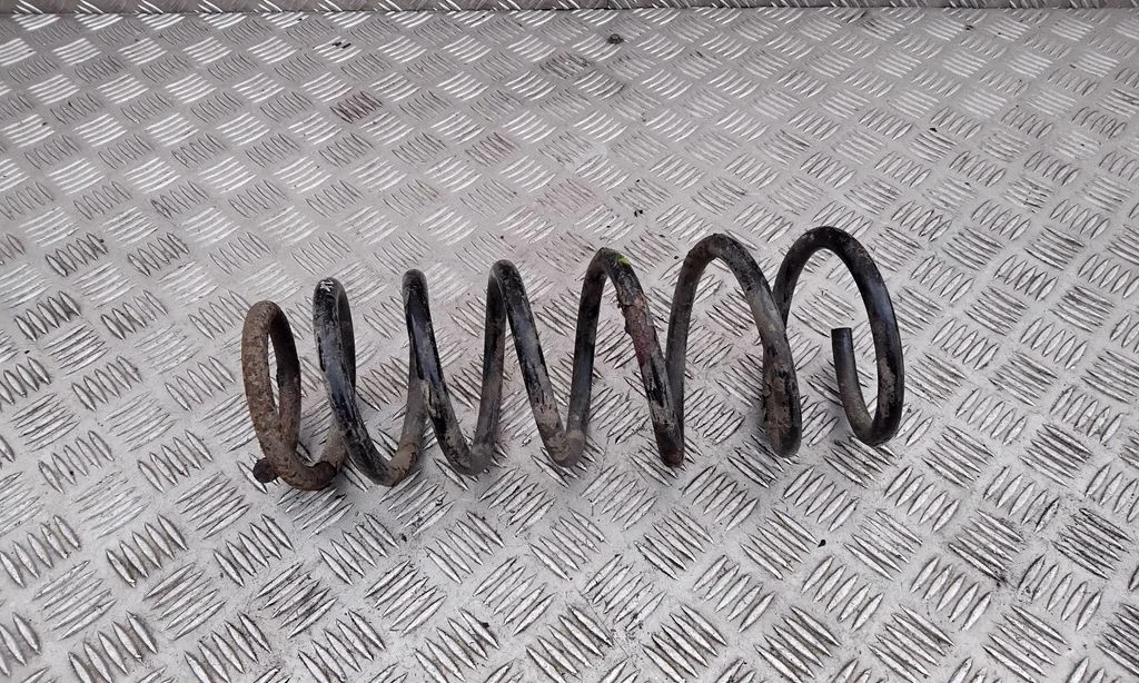 Rear coil spring