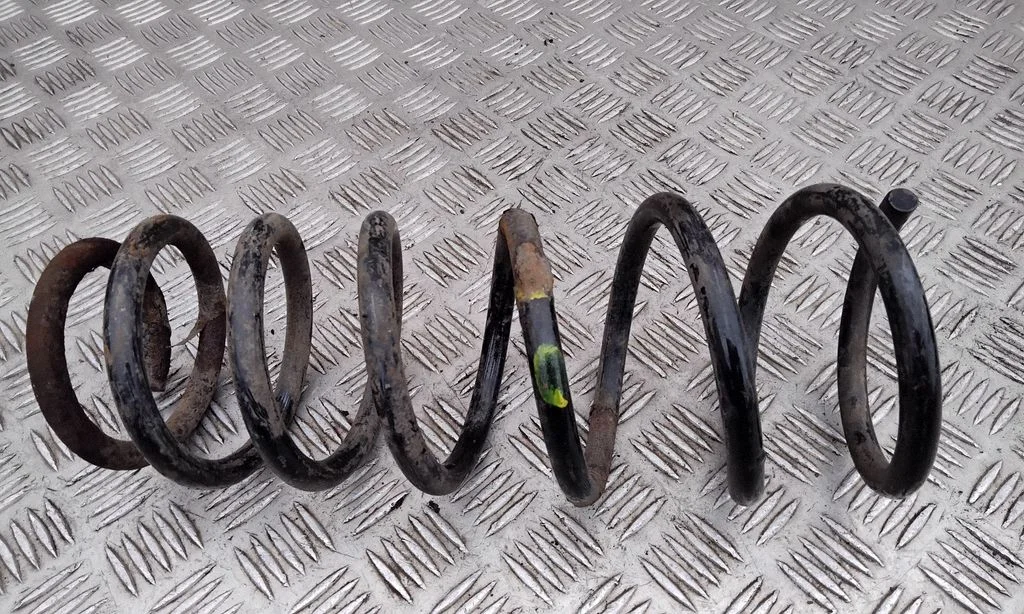 Rear coil spring