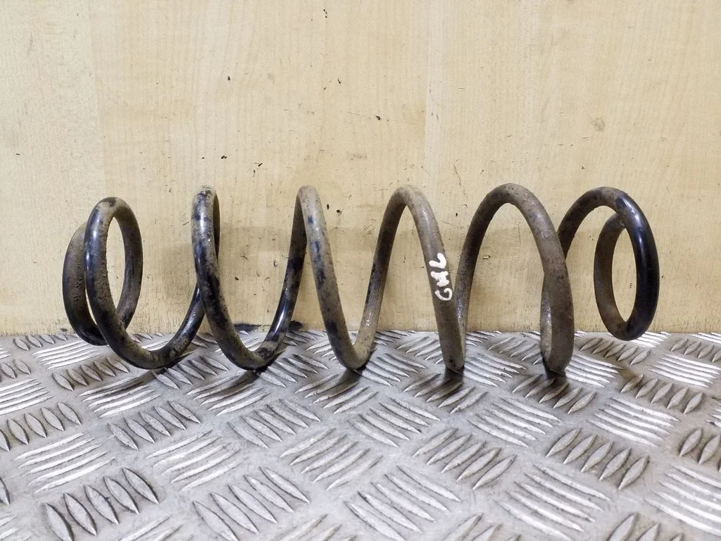 Rear coil spring