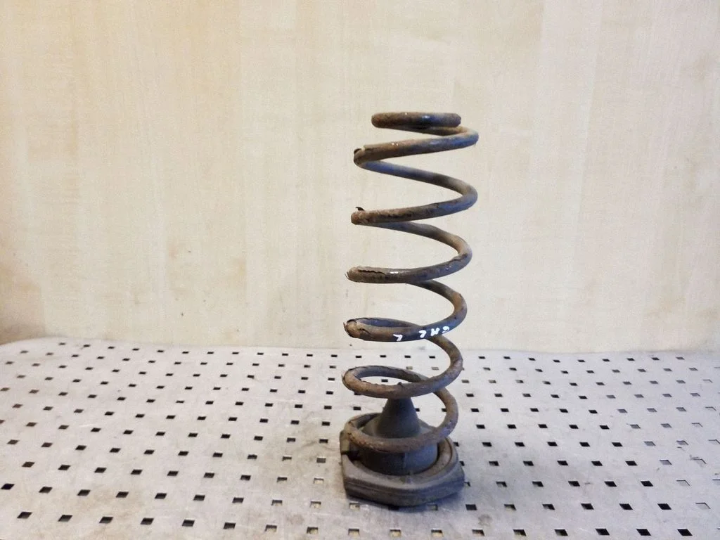 Rear coil spring