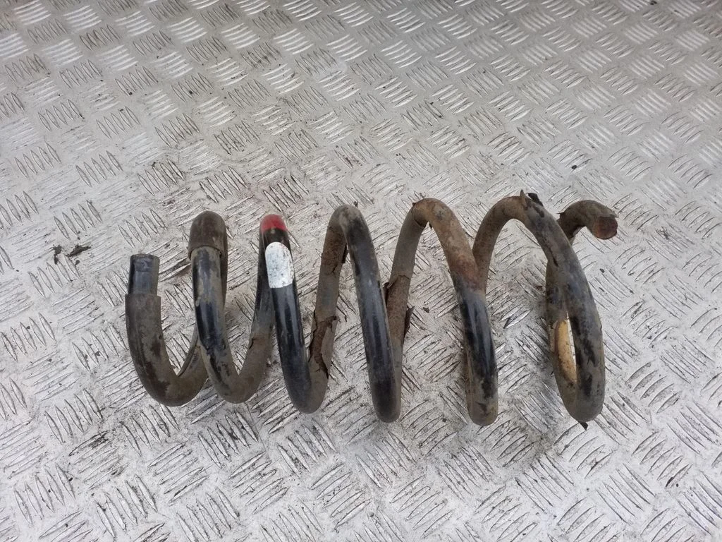 Rear coil spring