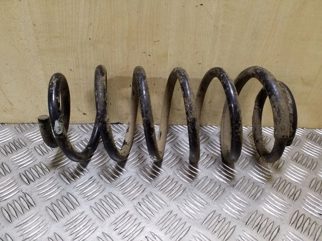 Rear coil spring