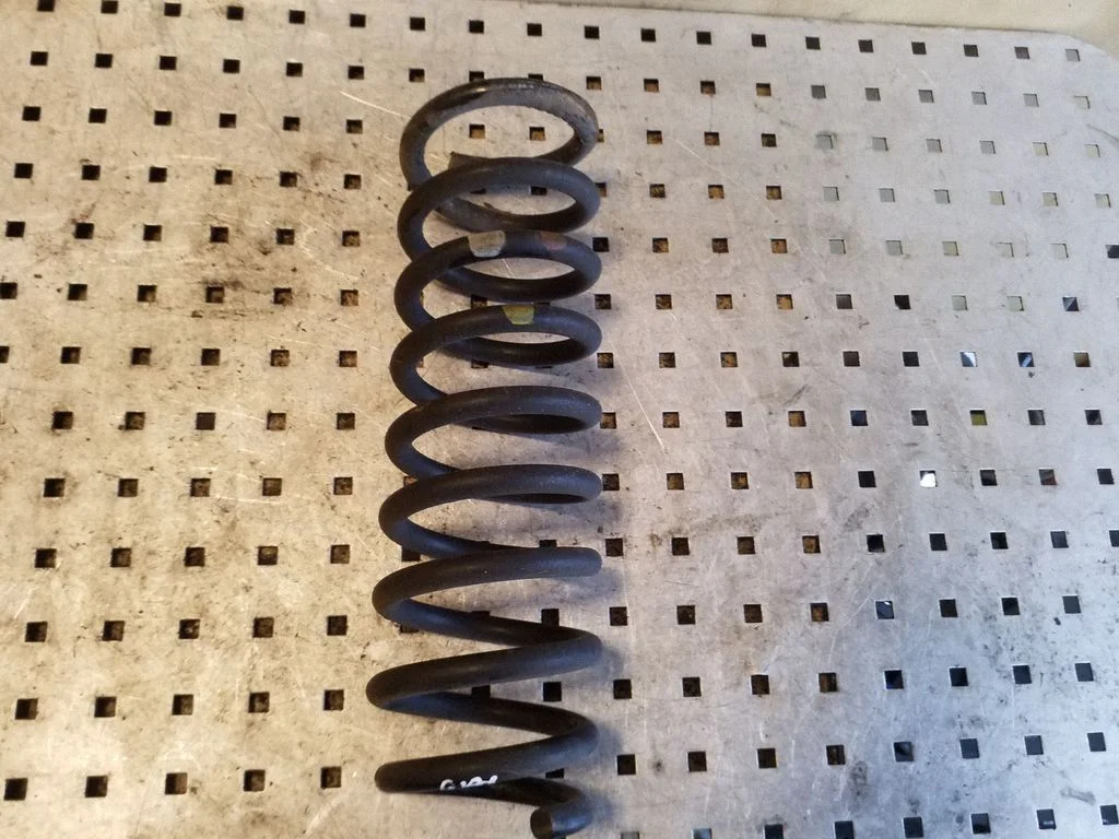 Rear coil spring