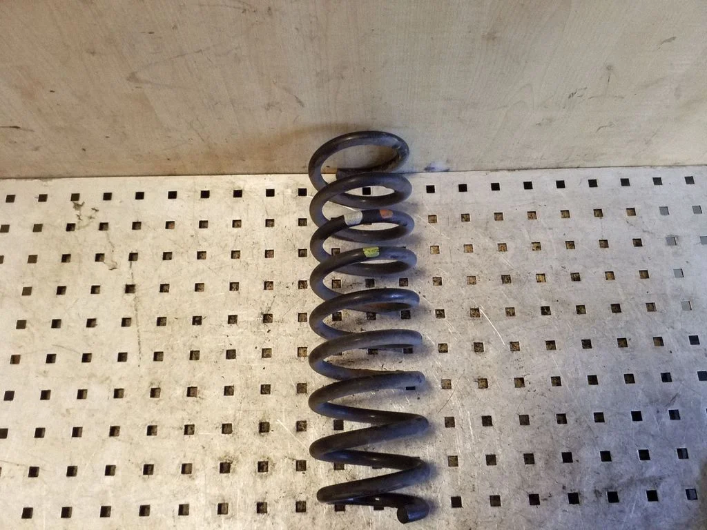 Rear coil spring