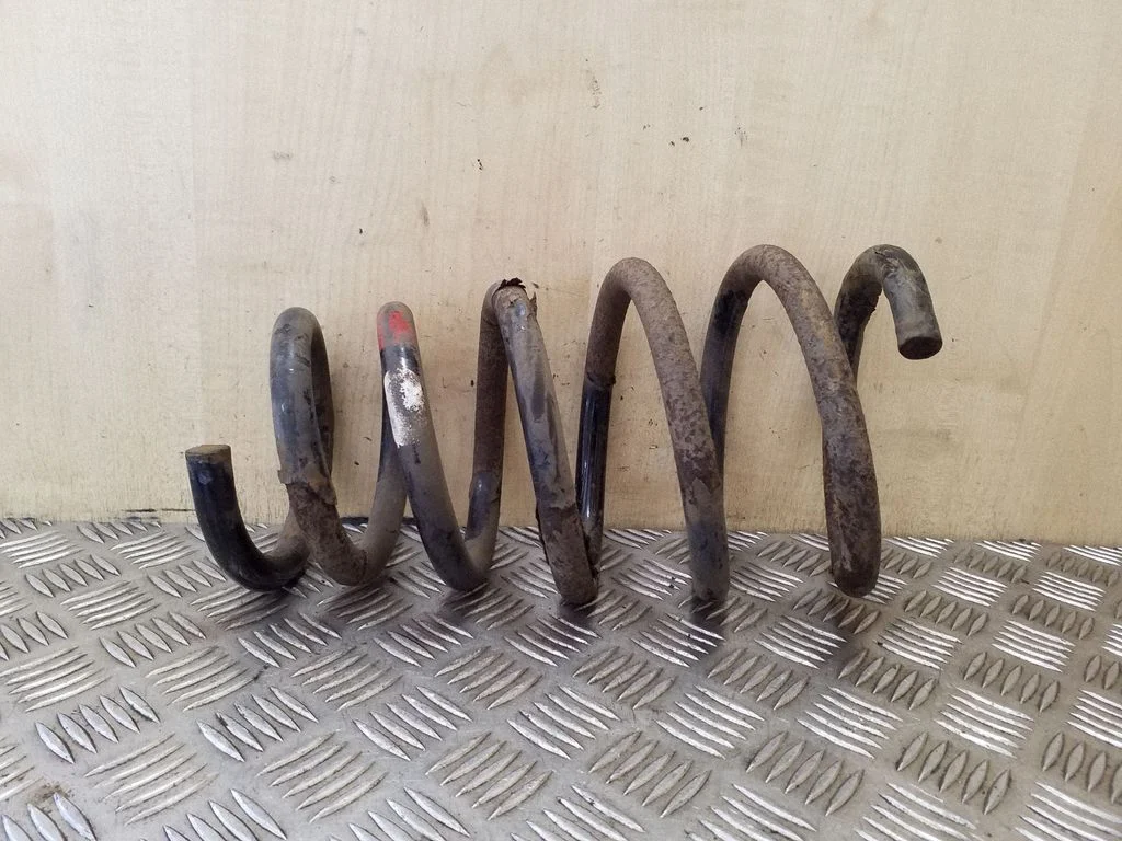 Rear coil spring