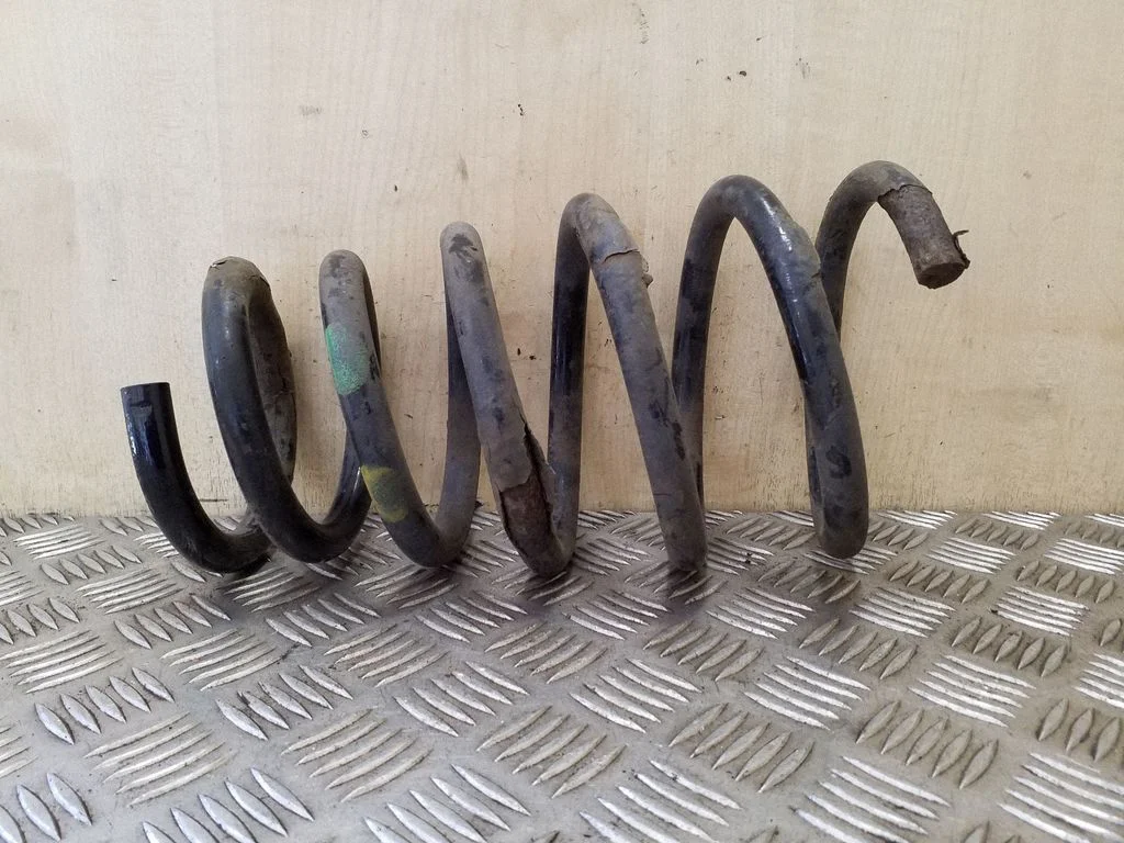 Rear coil spring