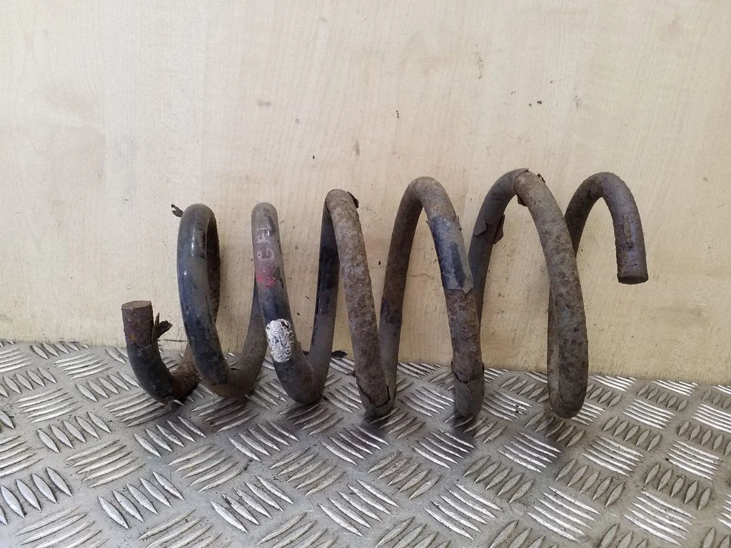 Rear coil spring