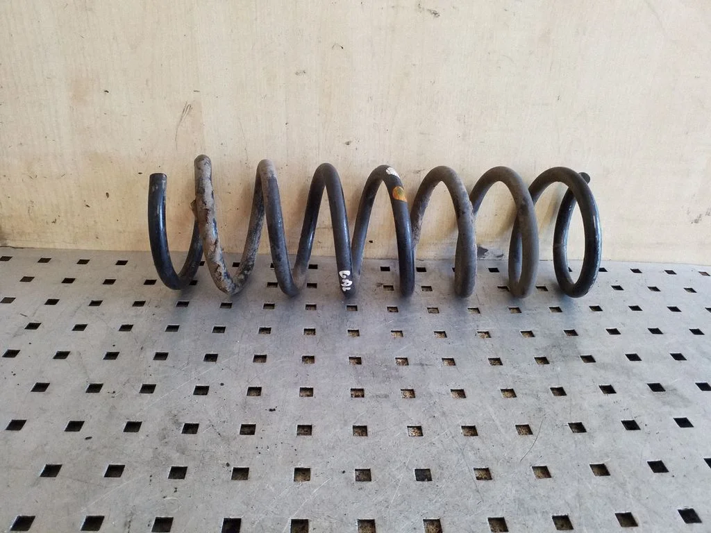 Rear coil spring