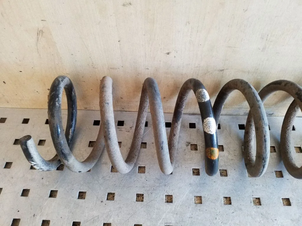 Rear coil spring
