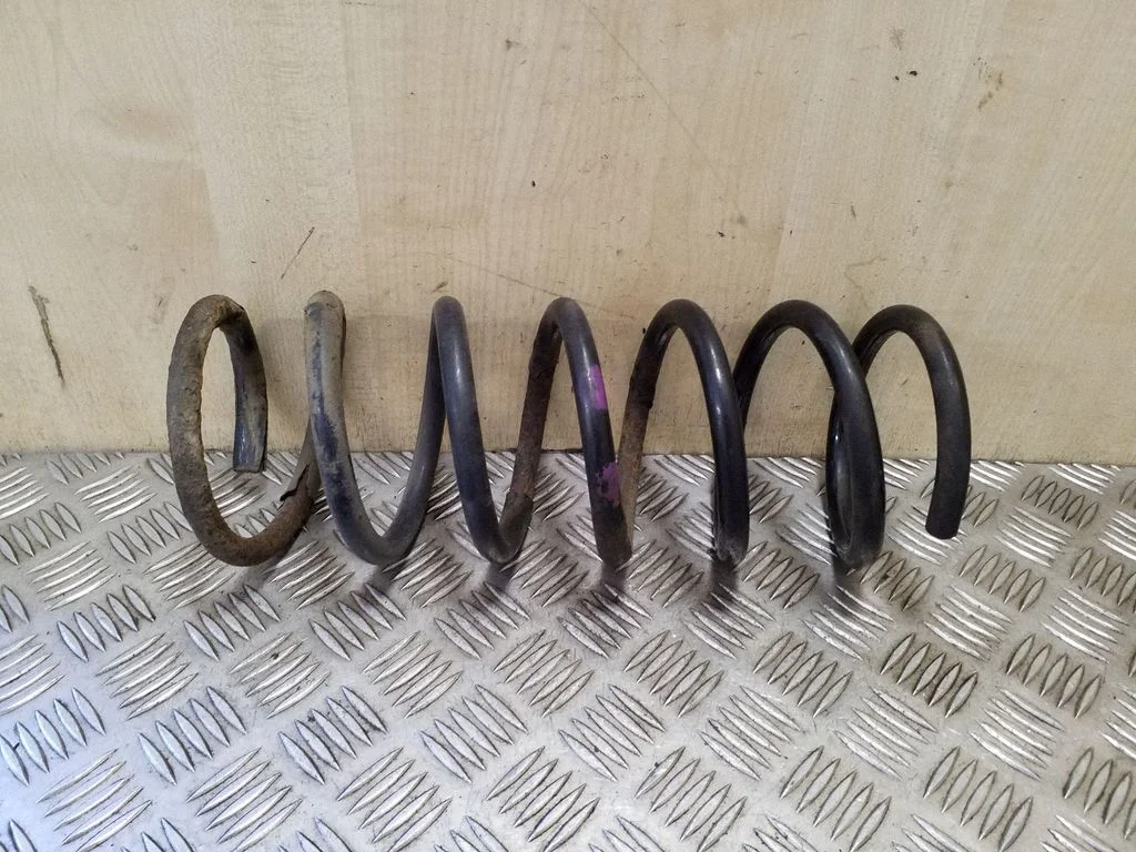 Rear coil spring