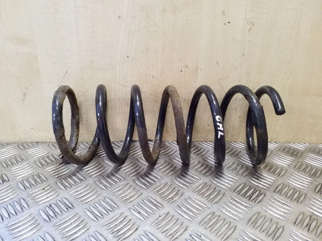 Rear coil spring