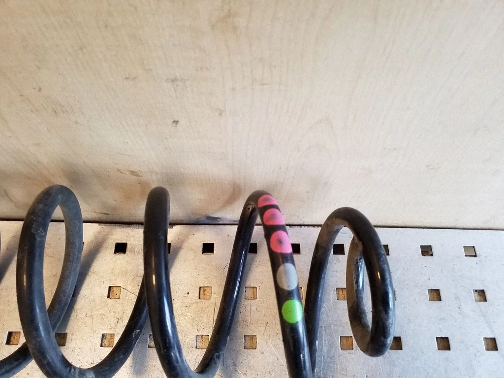 Rear coil spring