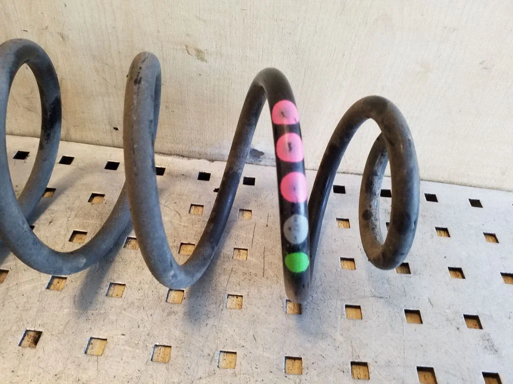 Rear coil spring