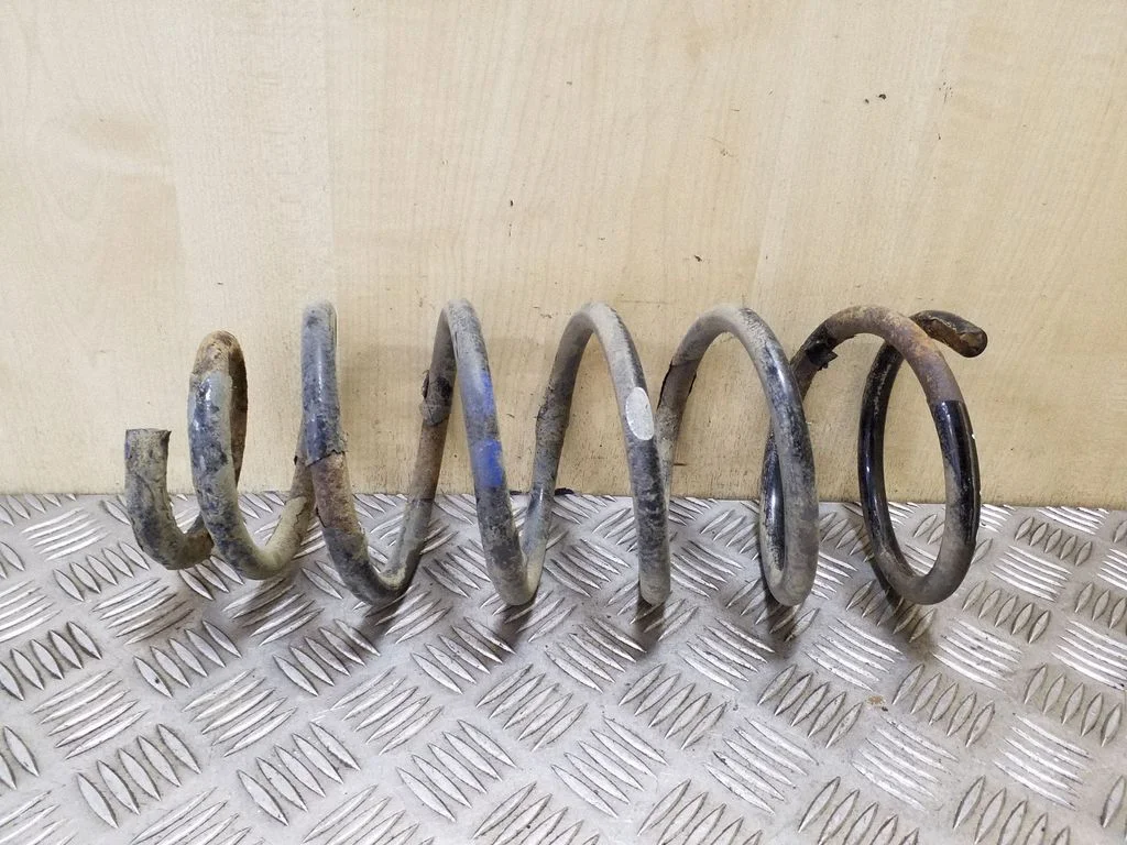 Rear coil spring
