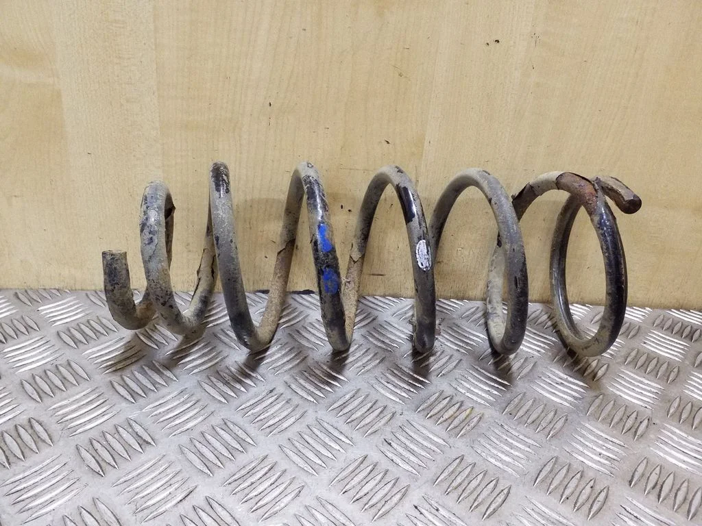 Rear coil spring