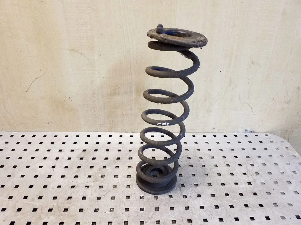 Rear coil spring