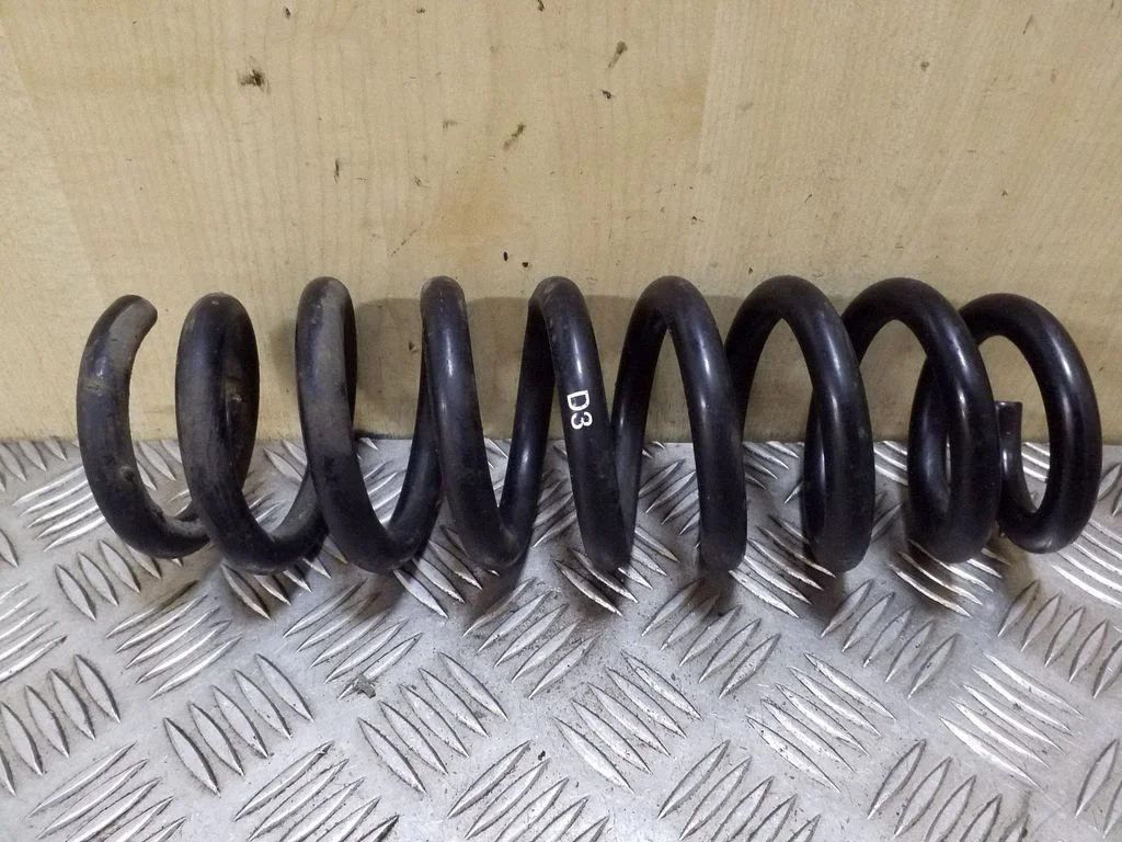 Rear coil spring