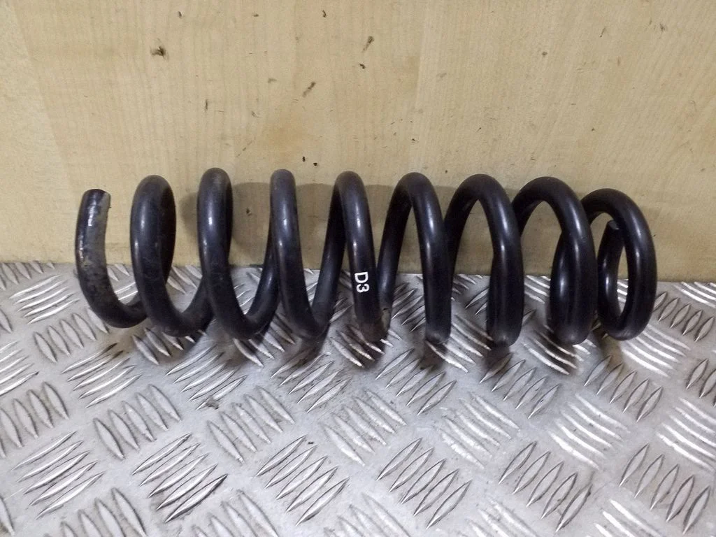 Rear coil spring