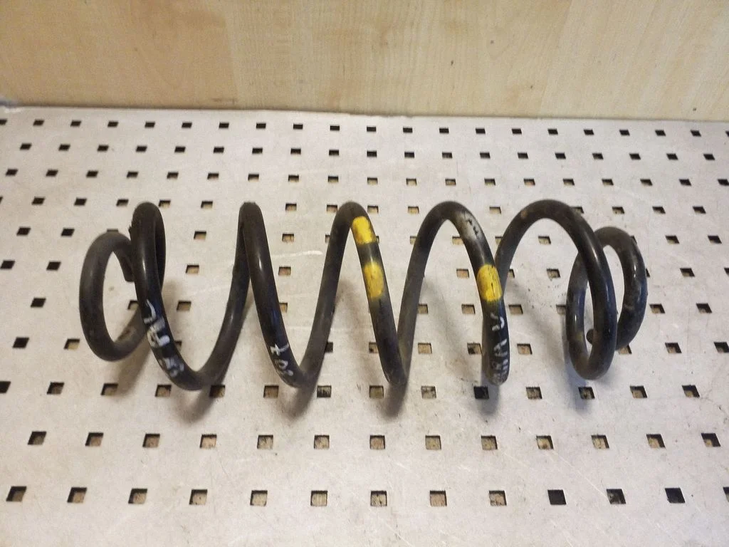 Rear coil spring