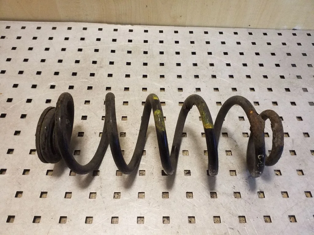 Rear coil spring