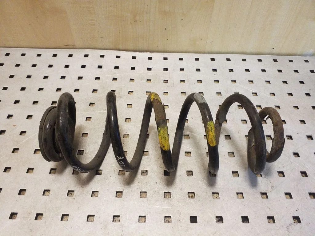 Rear coil spring