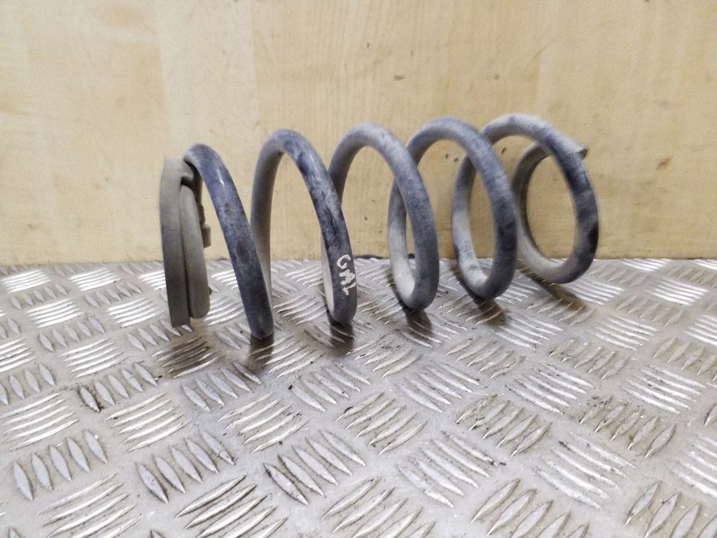 Rear coil spring