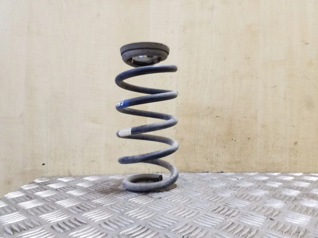 Rear coil spring