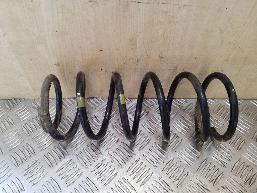 Rear coil spring
