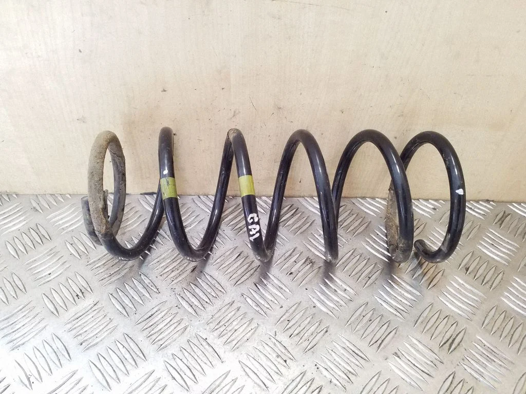 Rear coil spring
