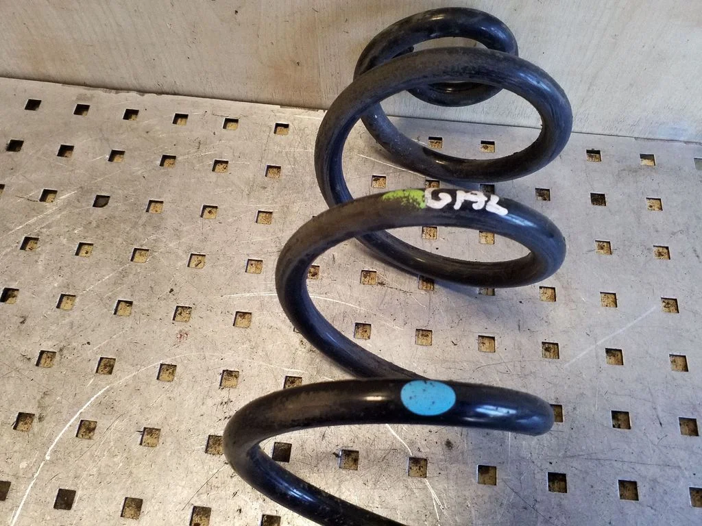 Rear coil spring