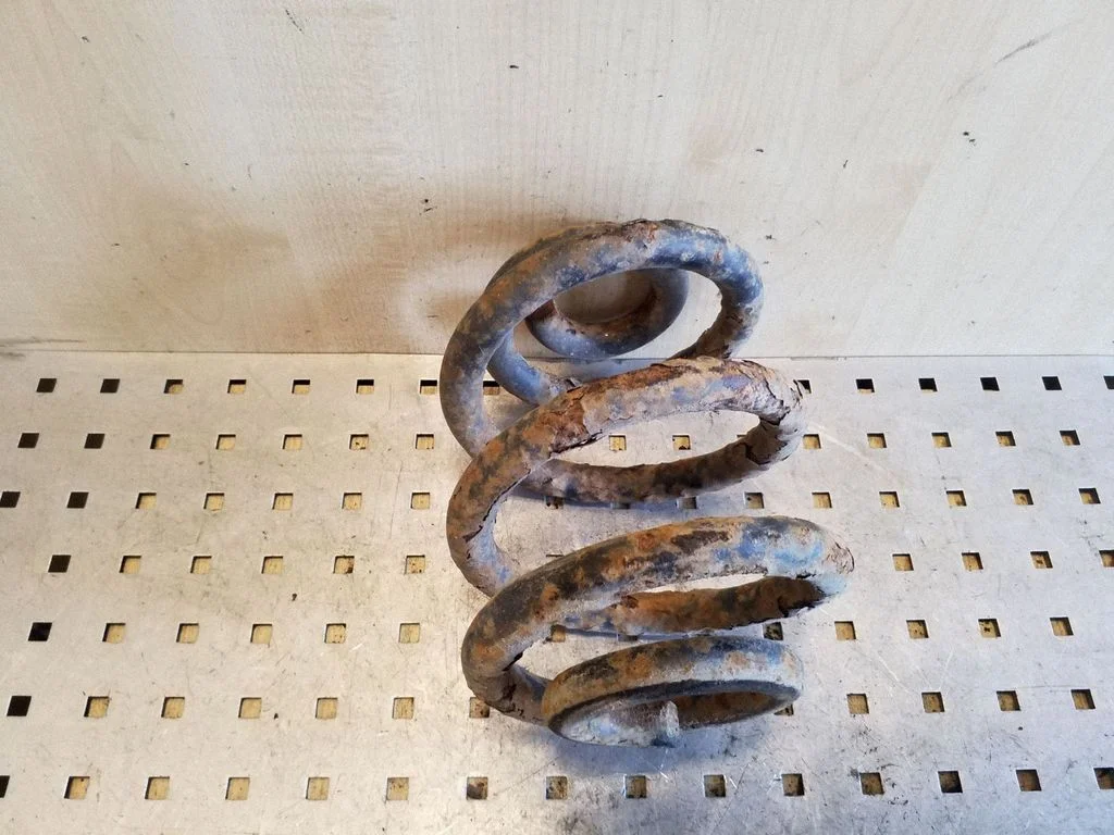 Rear coil spring